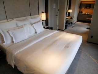 ANAインターコンチネンタルホテル東京　お部屋（月スイート）　②