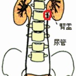 海彦・山彦の白秋日記