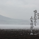 『熊よけスプレー』の画像