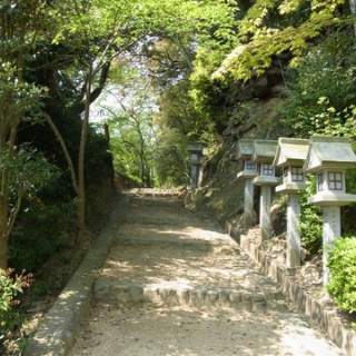 文ちゃんの更科日記