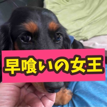 さっさと食べろ。ヤツが狙ってるぞ。