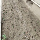 ◆プール◆1日雨模様