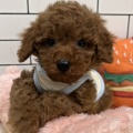 かわい子ちゃん💗
