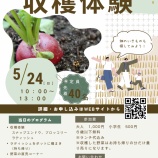 『いわき農園　🌸春野菜の収穫体験🫛』の画像