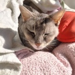 みーちゃんＨＯＵＳＥ