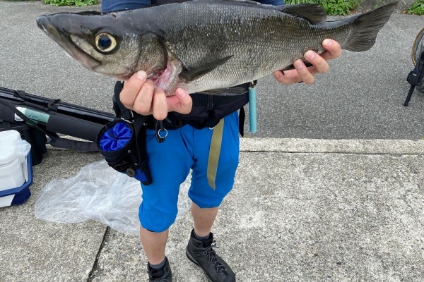 串本町紀伊大島 須江しょらさん渡船の釣果情報 和歌山県 通夜島 須江崎 串本