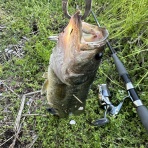 ＧＰ’ｓ ＲＯＯＭ なれの果て・・・