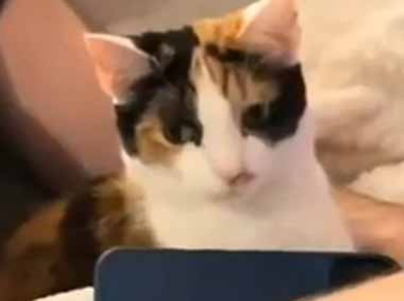 彼がポップコーンを食べていた。私にはくれないのかな？ → 隣りで彼女はこうなります…