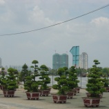 『ベトナム旅行記⑩～ホーチミン最終日の観光&買い物』の画像