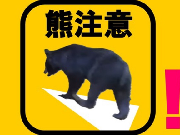 【奈良・下北山村】ツキノワグマが集落で捕獲され殺処分　前回捕獲時に“人の怖さ”学ばなかったか