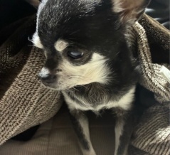 お久しぶりになってしまいました～