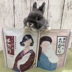 うさぎブログ　うさぎのしっぽ公式ブログ「日々しっぽ」