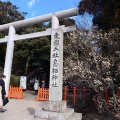 ҽʼ硢