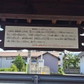 池田～大野～九頭竜　(*ΦωΦ*)にゃー