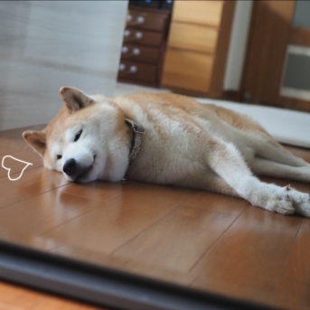 無事のお留守番♪