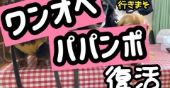 パパ復活の日。