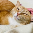 あったかくて楽ちん