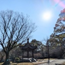 若い方の早期退職が２割と知って思った事