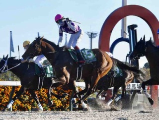 【みやこステークス＋アルゼンチン共和国杯2025予想】