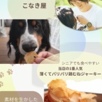 こなき屋　犬の無添加おやつ作っています