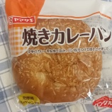 ¡Ø¥ä¥Þ¥¶¥¾Æ¤¥«¥ì¡¼¥Ñ¥ó¡Ù¤Î²èÁü