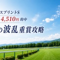 函館SSは3連複4510円。開始から2重賞連続的中『夏の波乱重賞攻略』