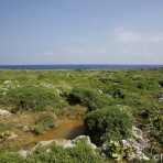 知床と八重山の風景