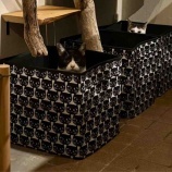 『Muddy Cat 定期便 10/27〜11/1』の画像