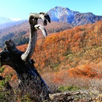 みちくさんぽ♬（人生道草散歩）