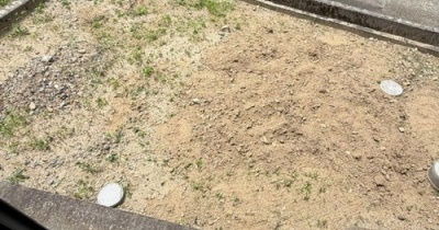 【シニアライフ：二拠点生活】田舎の一戸建て…夏は草との戦いです。。