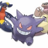 ポケモンoras 害悪ポケモン殲滅日記 ポケモンoras 害悪ポケモン殲滅日記