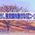 JALで行く、格安国内旅行なら【ニーズツアー】