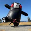 第一回山鹿灯籠ウィメンズマラソン　前日