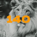 ドラクエ10盲目信者の秘密基地