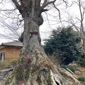 栃木県のお寺3箇所巡るツー。