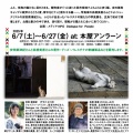 写真展「パレスチナの猫」＠福山・アンラーンとトーク「パレスチナの家族の今」