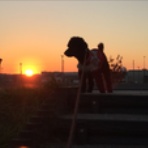 モコくんと父～ちゃんの『趣味だってば！！』