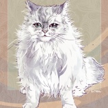 猫の練習などしました