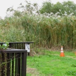 花鳥いろいろ 四季の野鳥