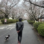 音楽の話がしたいのさ