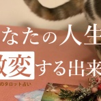 ラピリマのタロット占い