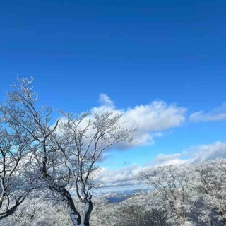 ２りんかんブログ