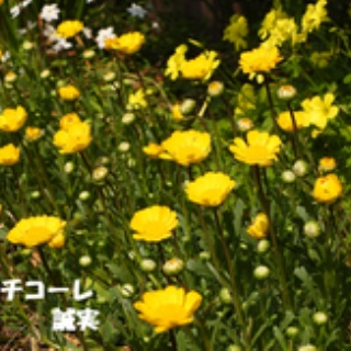 田舎記者の手帳