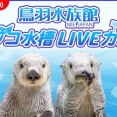 【悲報】鳥羽水族館のラッコ24時間生配信、飼育員に対するカスハラがひどいため映り込む飼育員をモザイク処理すると発表