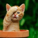 都合のいい方を選んで大失敗🤣🤣