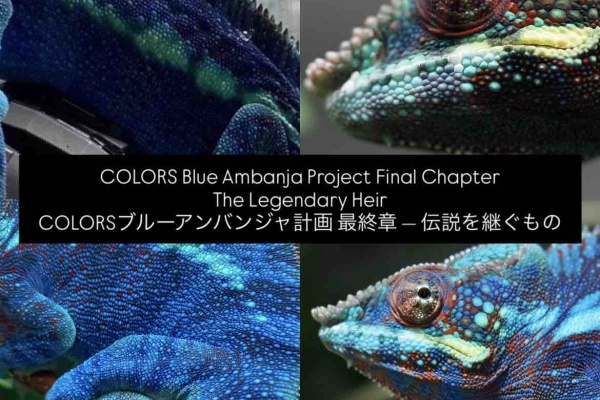 COLORS