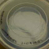 『2015年の今年も無事自家製梅干しが完成いたしました～☆』の画像