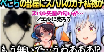 【ホロライブ】ぺこら、まだスバルの私物が隠されてると知り慌てて探したら…