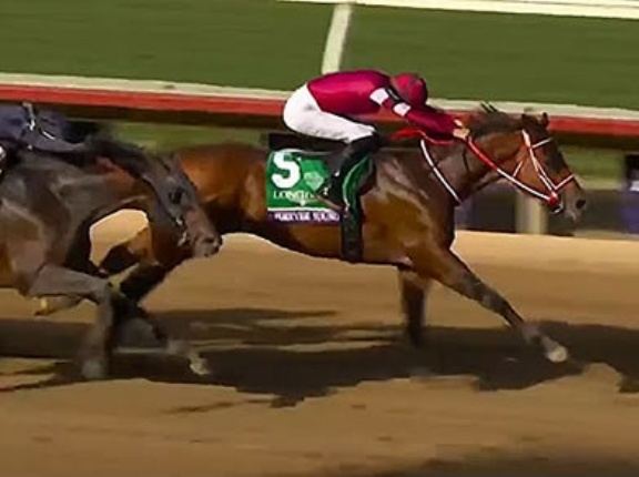 フォーエバーヤングの年度代表馬ある？