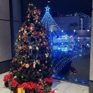 京響友の会コンサート－最高のクリスマスプレゼントでした。